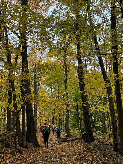 Photo of the New York Ramblers hiking group in New Jersey state park.